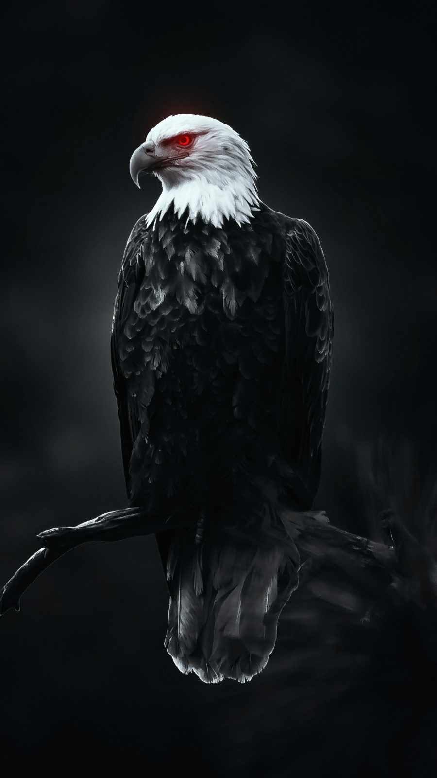 Eagle_Birds_HD